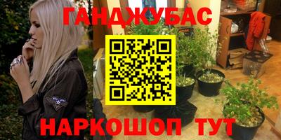 гашик Кимры
