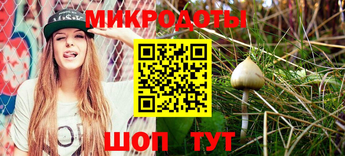 Псилоцибиновые грибы мицелий  Вход с VPN  Кызыл  Галлюциногенные грибы Psilocybe 