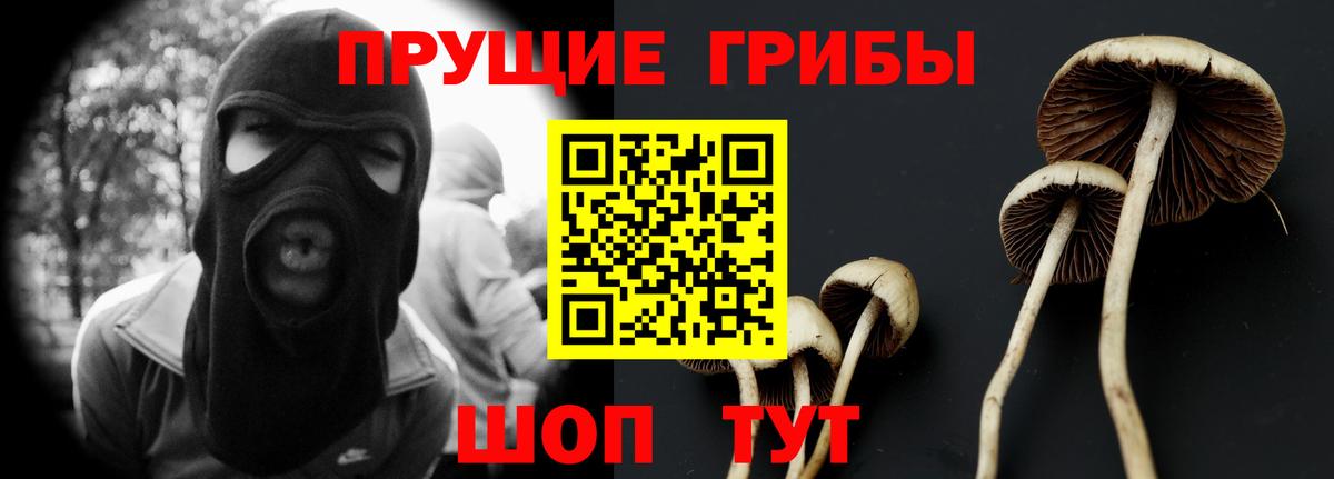 Псилоцибиновые грибы Magic Shrooms Кызыл